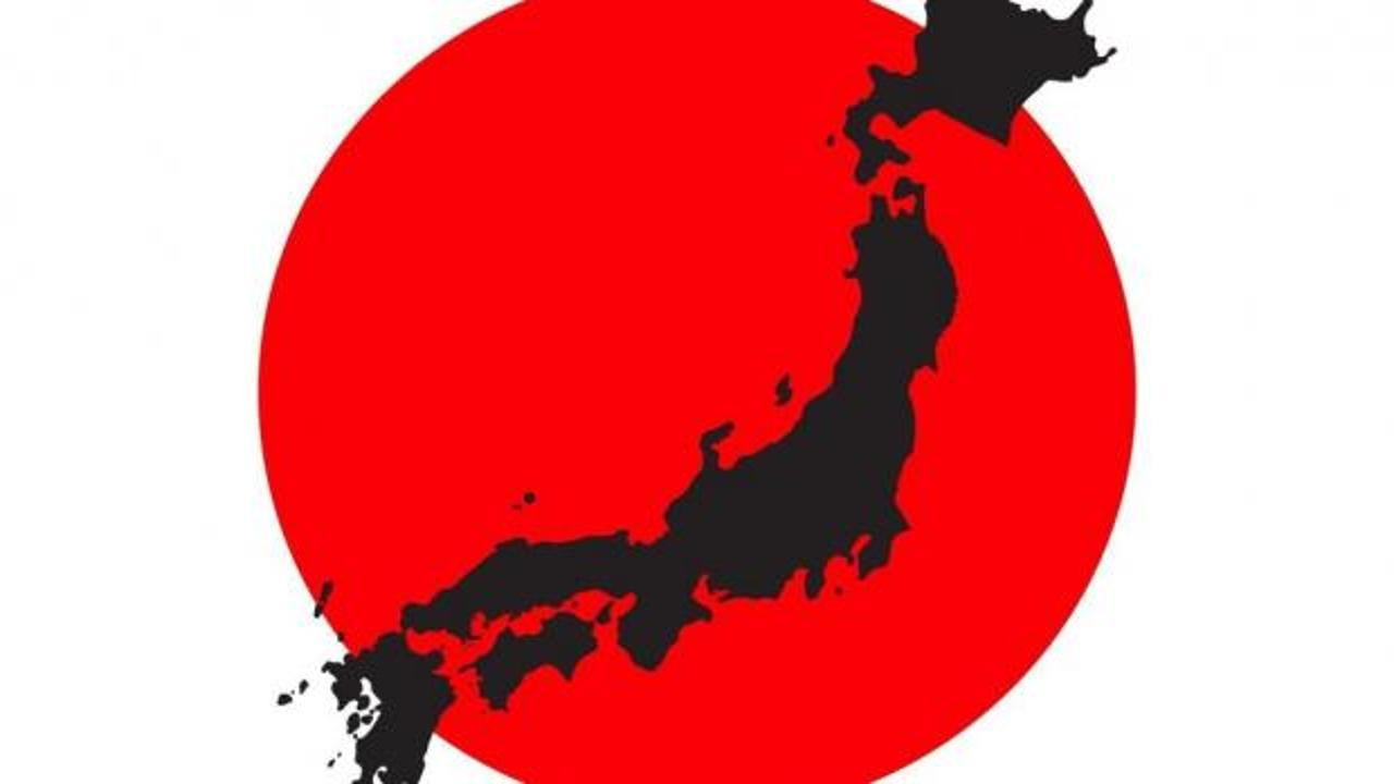 Tohoku depremi sonrası Japonya'daki sismik hareketliliği gösteren bilimsel veriler