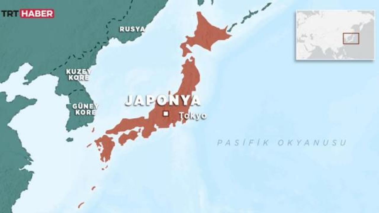 Japonya'yı vuran büyük depremin ardından çekirdekten yansıyan dalgaların neden olduğu milimetrik kaymaları gösteren bir grafik.