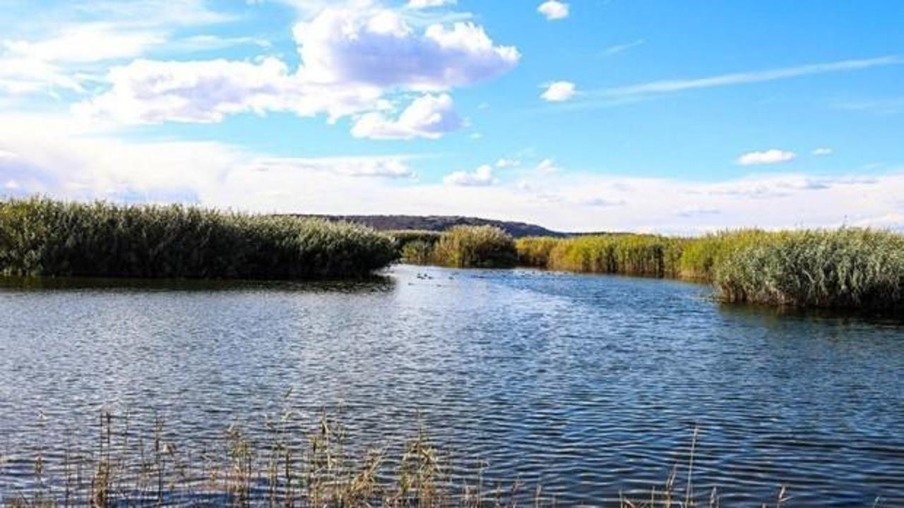Sıfır Atık Vakfı, 120'den fazla sulak alan i&ccedil;in &ccedil;alışma yapacak