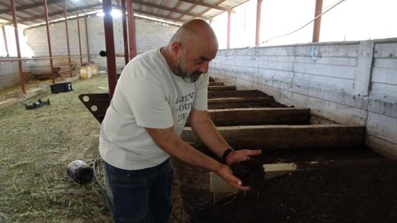 Serkan Doğan bahçesinde solucan gübresi üretimi yaparken