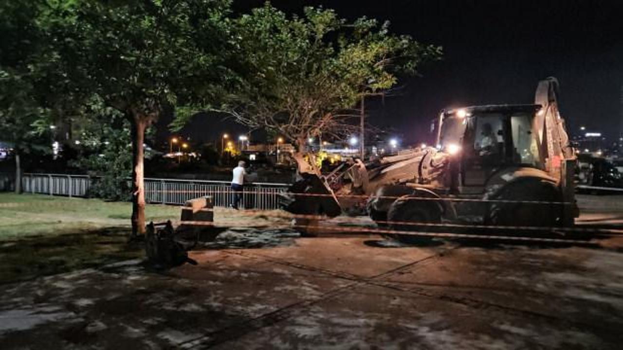 Bakırköy'de Çırpıcı Deresi'nde toplu balık ölümleri görülüyor.
