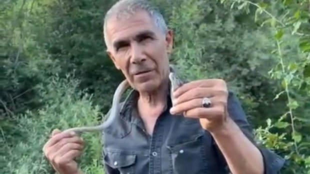 'Bir ısırığı tahtalı köye gönderir' dedi boynuna doladı! Akılalmaz anlar kamerada