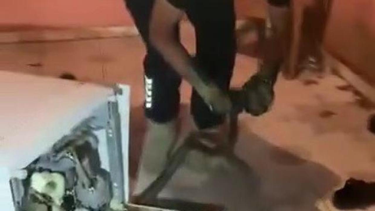 Hatay'da bulaşık makinesinden 2 metrelik yılan &ccedil;ıktı 