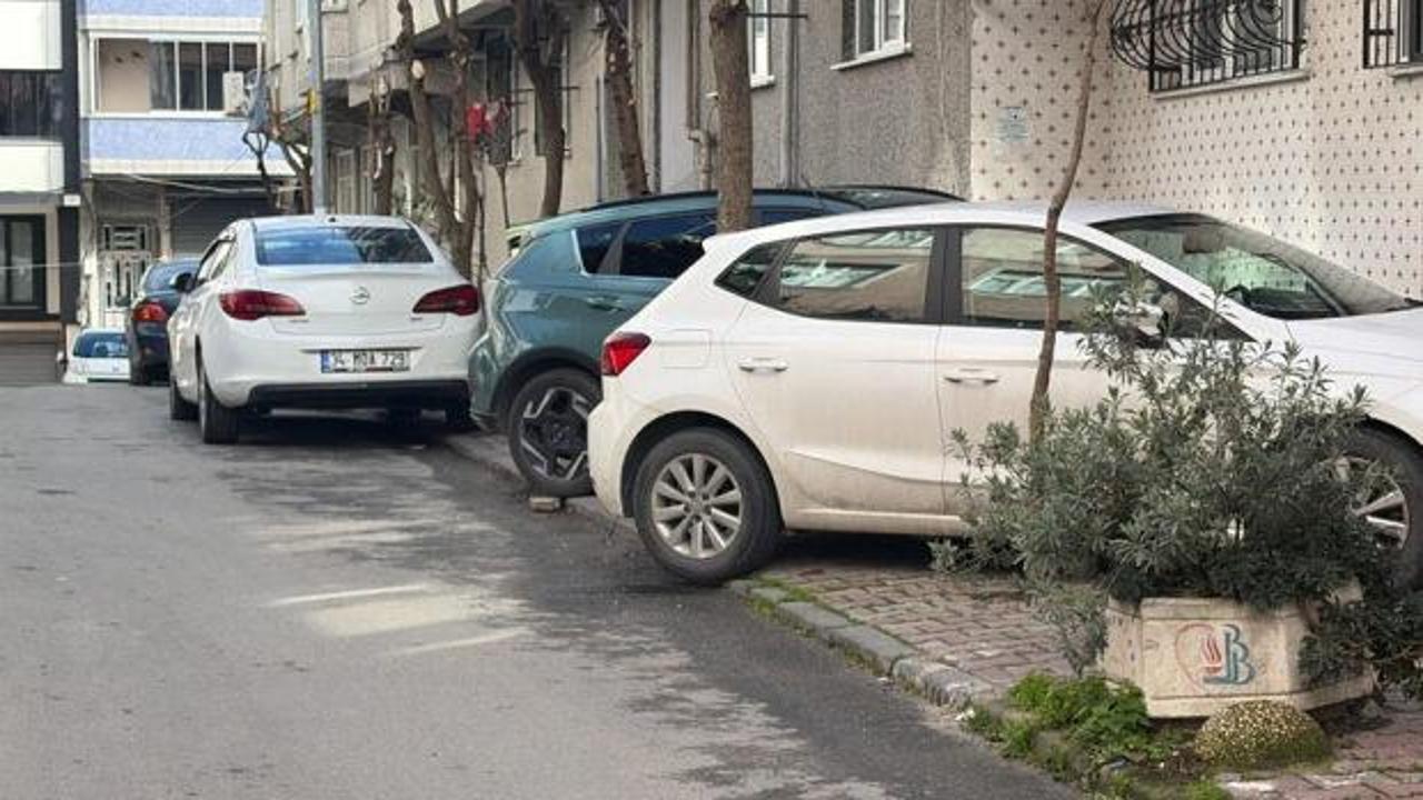 İstanbul’da, Park Edip Devam Edemiyoruz