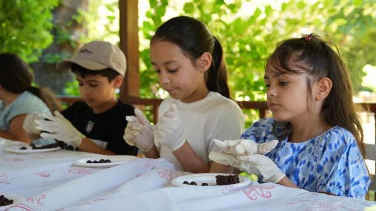 İstanbul'un Yeşil Hazinesi: Zeytinburnu tıbbi bitkiler bah&ccedil;esi