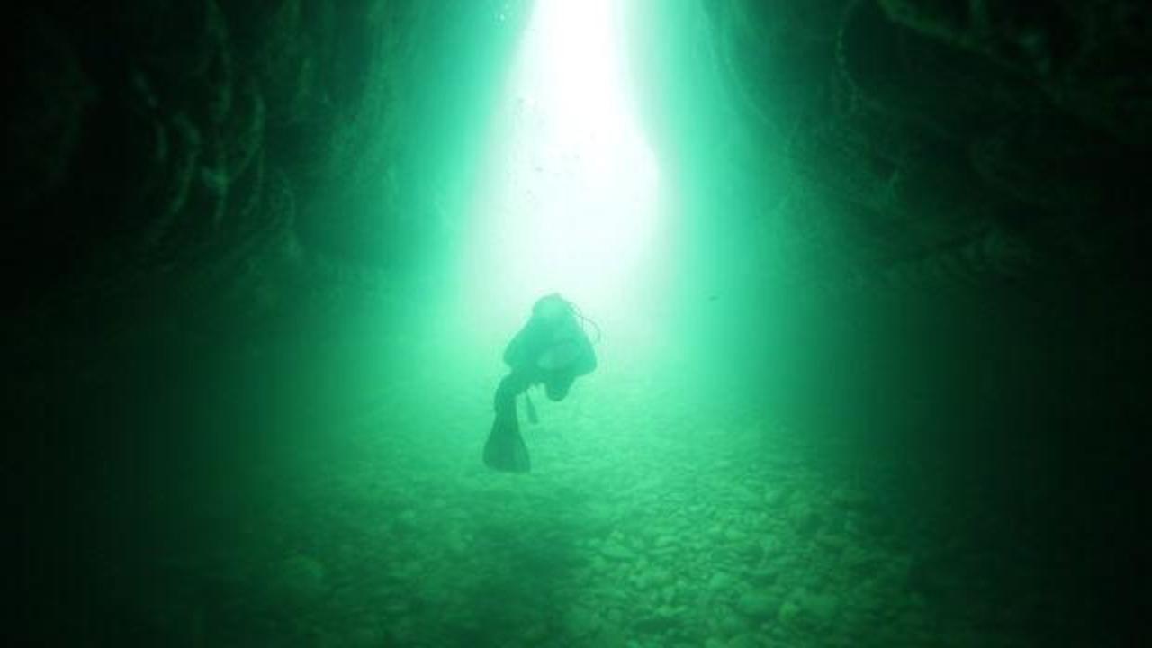 Kerpe'de dalış yapan bir grup insan ve deniz altı manzarası