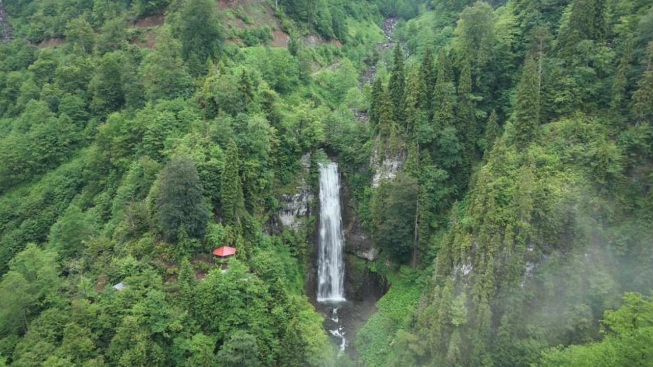 Artvin'deki Maral Şelalesi'nin yüksekten dökülen suları ve çevresindeki yemyeşil ormanlar.