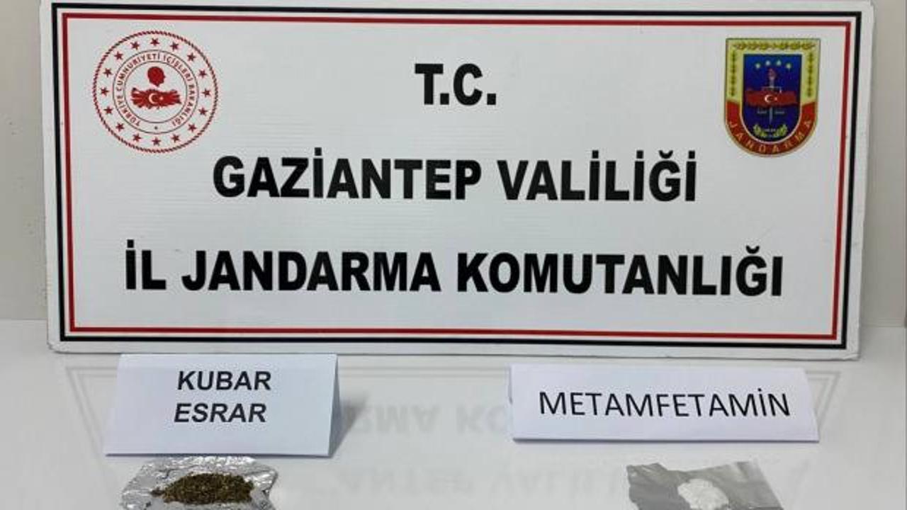 Gaziantep'te jandarma tarafından uyuşturucu operasyonu yapıldı, ele geçirilen kenevir bitkileri gösteriliyor.