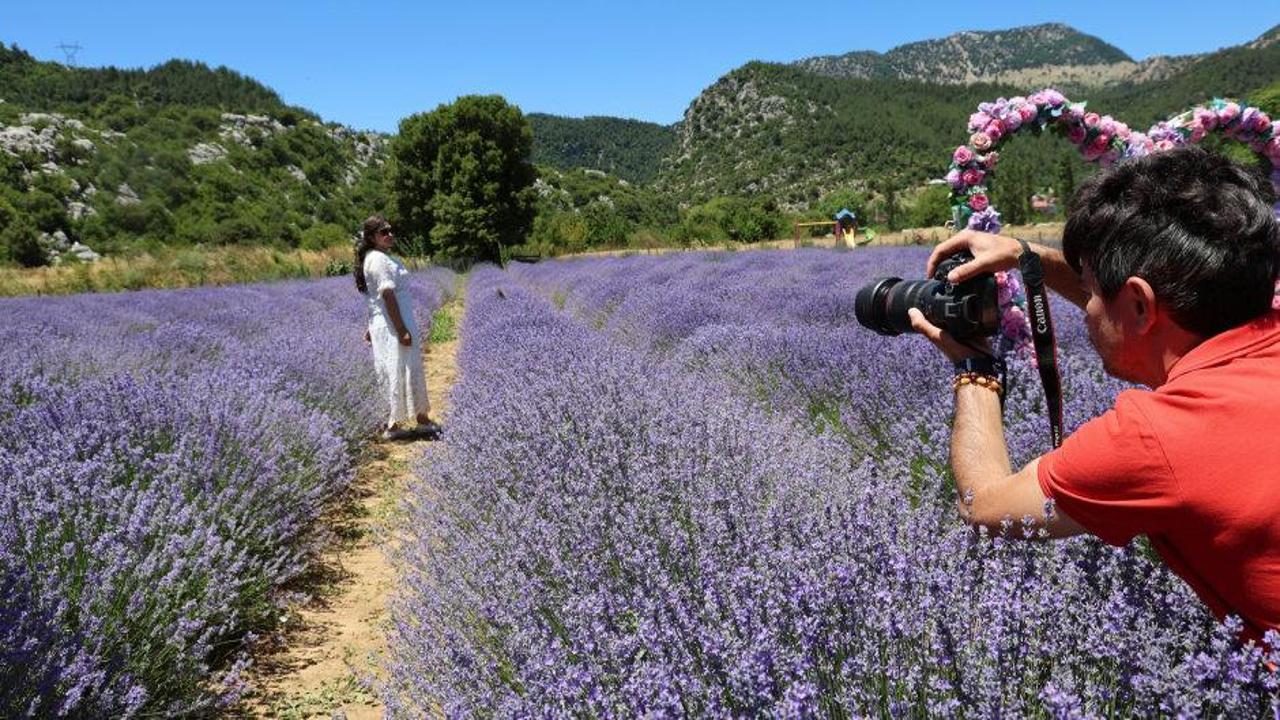 Adana'da lavanta tarlalarını ziyaret eden vatandaşlar