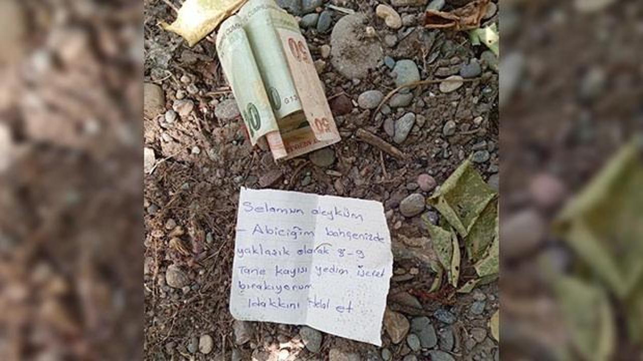 Bah&ccedil;eden kayısı yiyen adamın yazdığı not duygulandırdı!