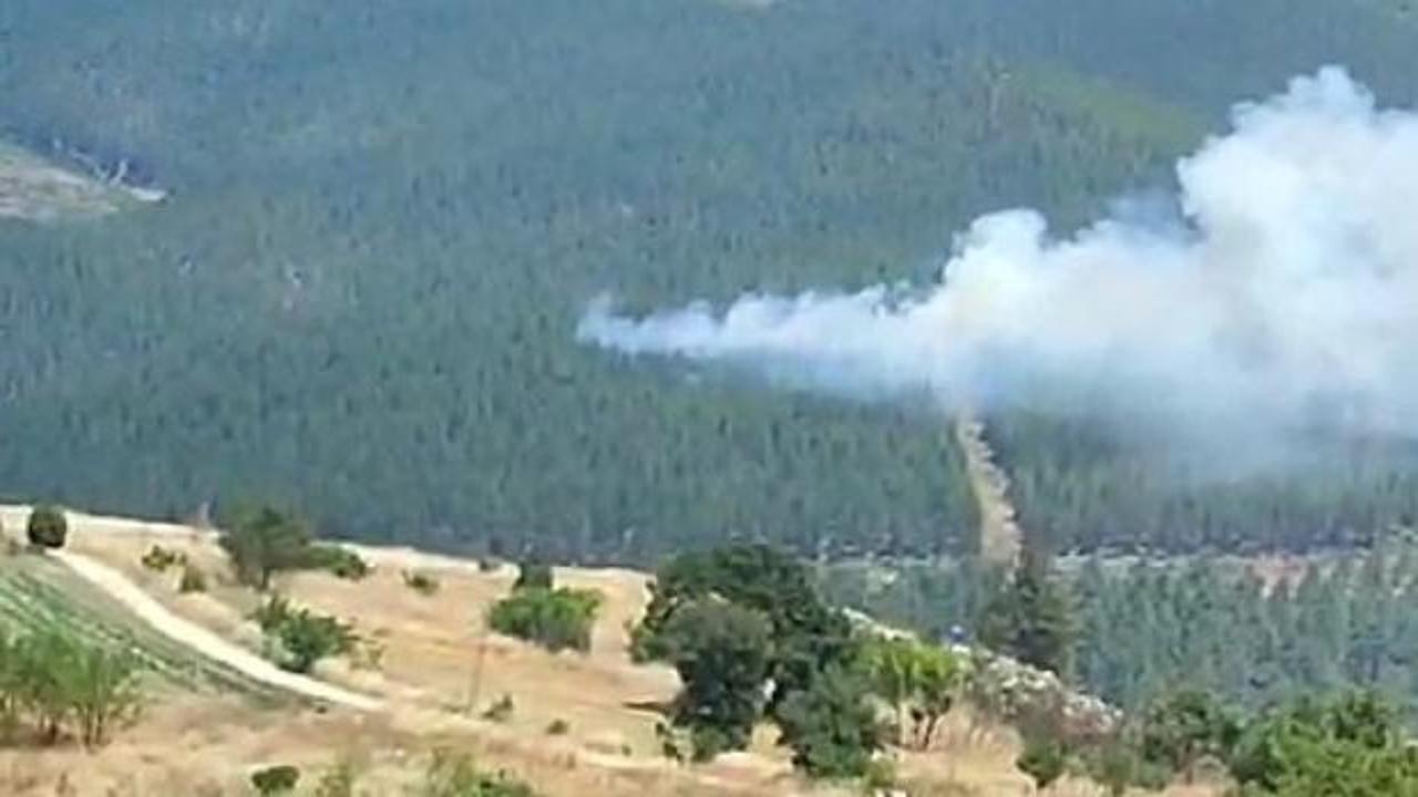 Bursa'da korkutan orman yangını