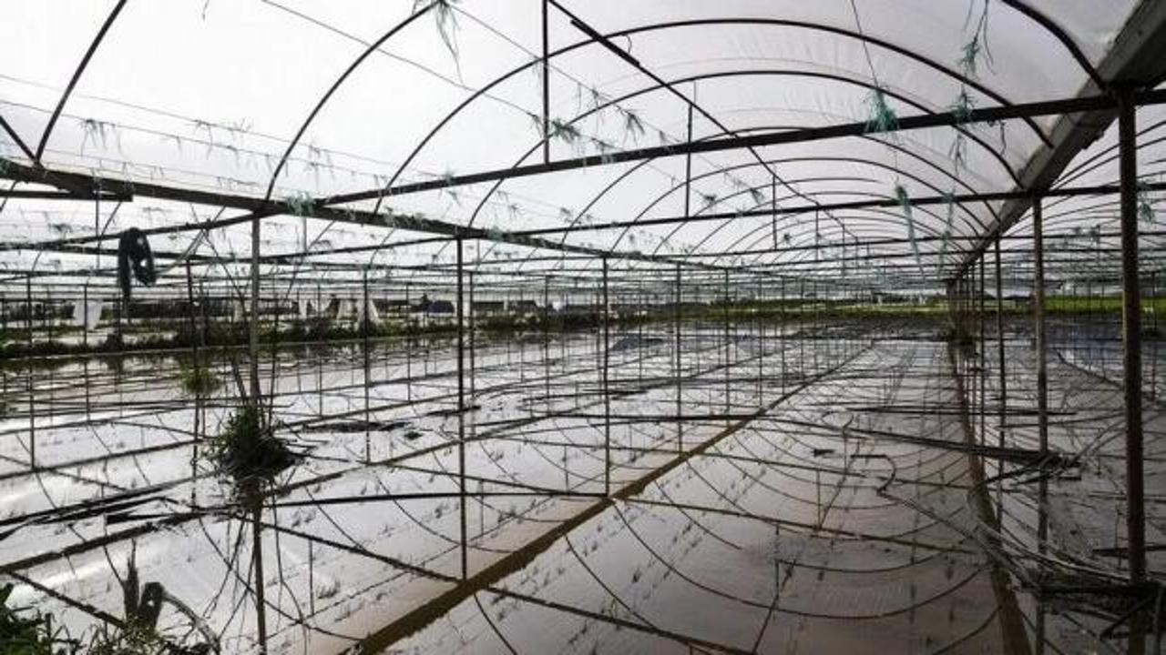 Doğal afetler ilk 6 ayda yaklaşık 900 bin dekar tarım alanına zarar verdi