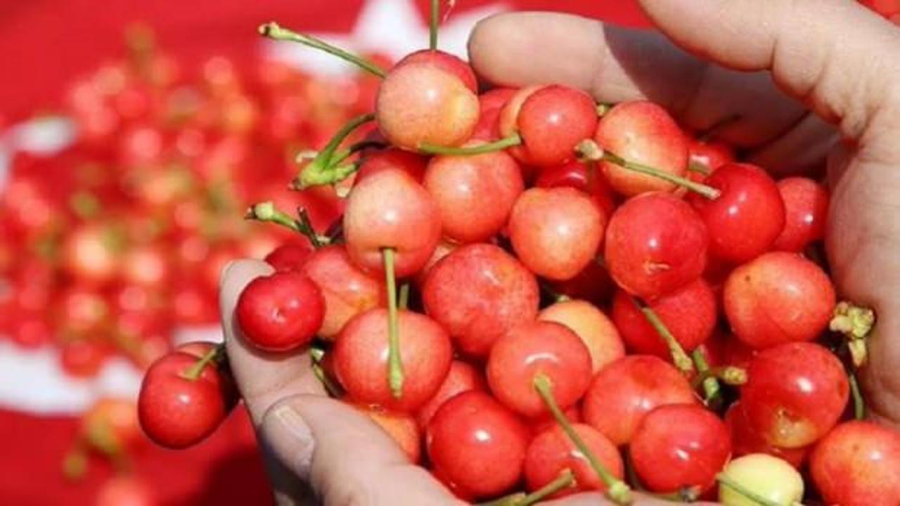Kastamonu'da kiraz yedikten sonra zehirlenen Ahmet Derin hayatını kaybetti, eşi Rahime Derin'in tedavisi sürüyor.