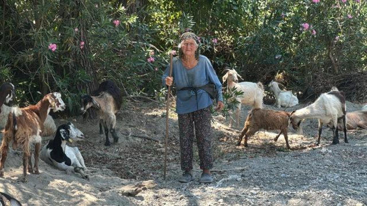 90 yaşındaki Rabia Semet'in keçi ve koyunlarıyla birlikte merada olduğu bir fotoğraf.