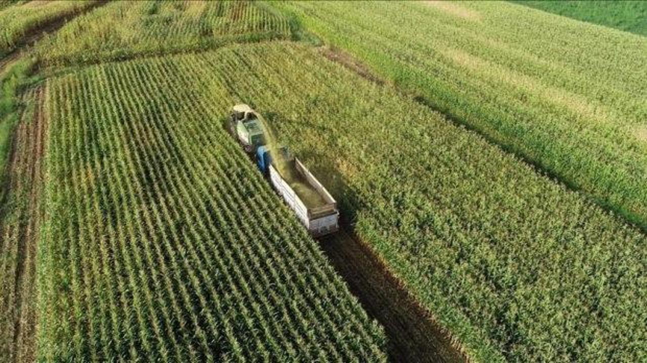 Bakan Yumaklı a&ccedil;ıkladı: 315,7 milyon liralık hibe &ouml;demesi hesaplara yatırıldı