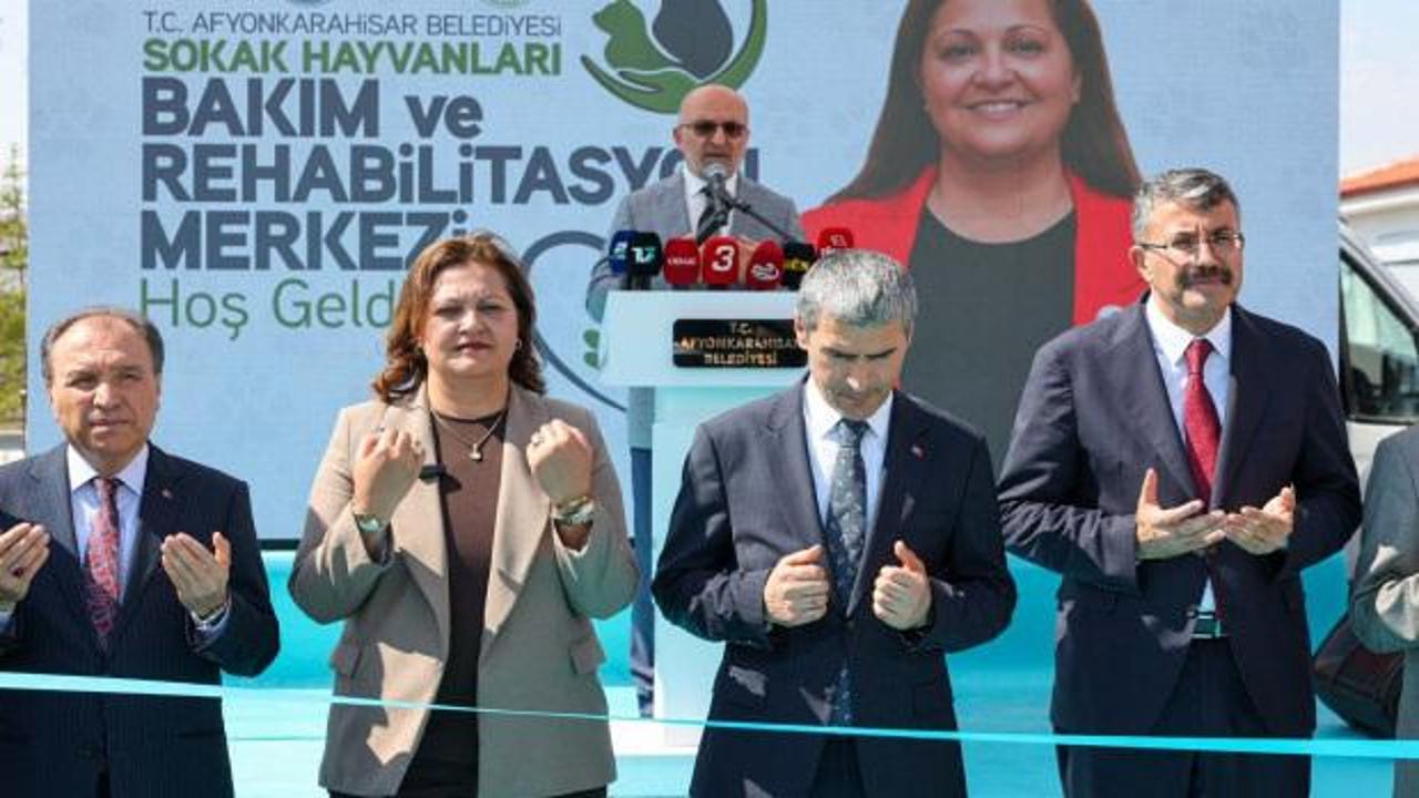 Afyonkarahisar'da yeni d&ouml;nem: Sokak hayvanları i&ccedil;in dev rehabilitasyon merkezi