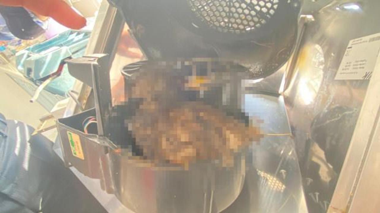 Bozulan aspiratörden kuş çıktı