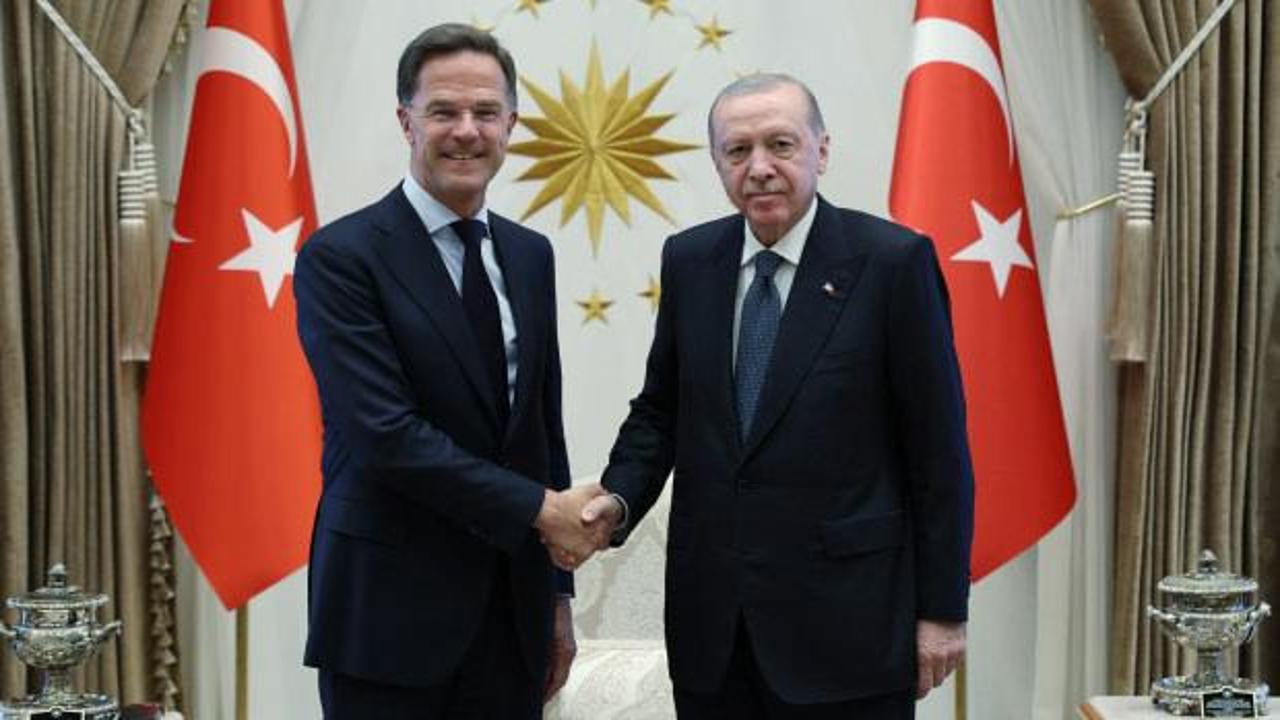 Cumhurbaşkanı Recep Tayyip Erdoğan, NATO Genel Sekreteri Mark Rutte'yi kabul etti