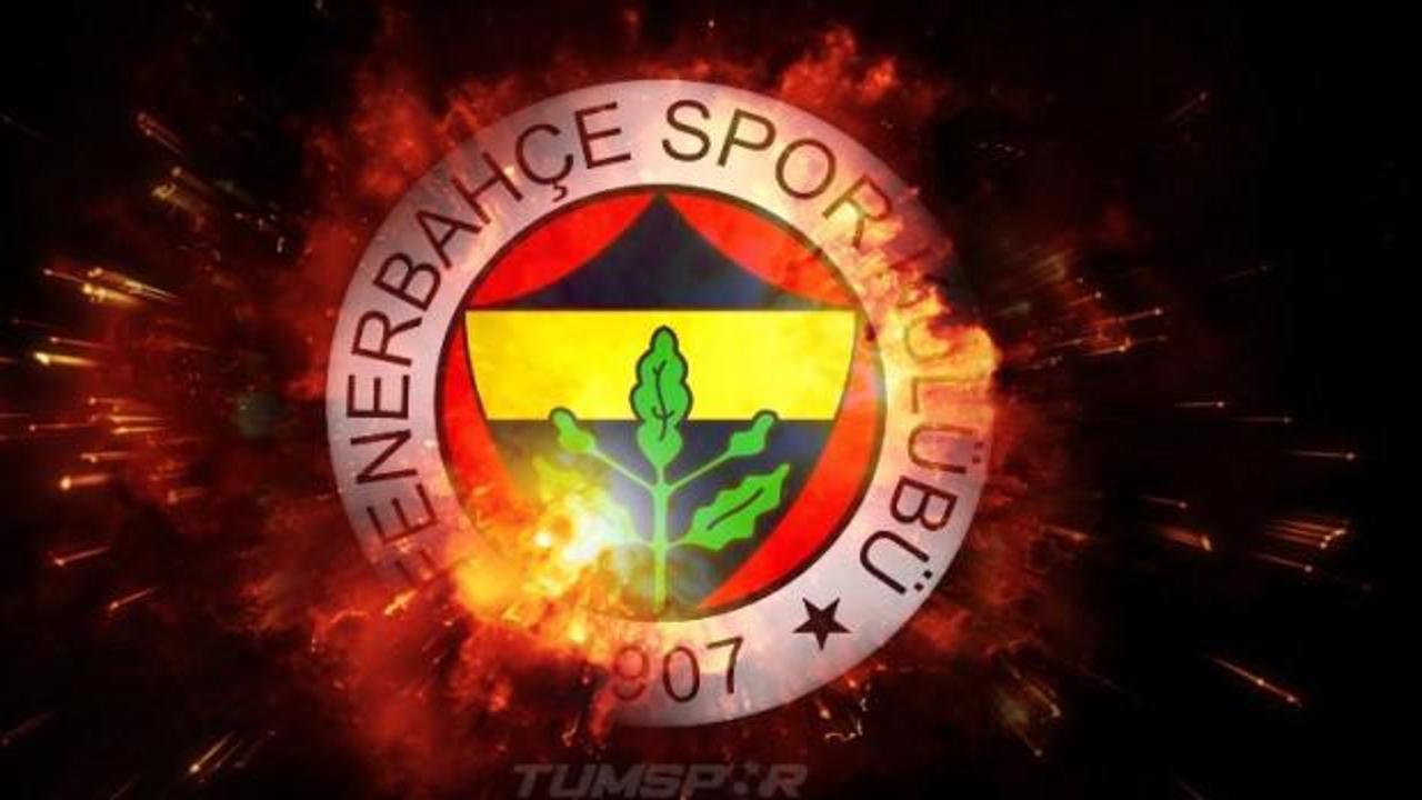 Fenerbahçe'nin yeni transferi Shavon Shields