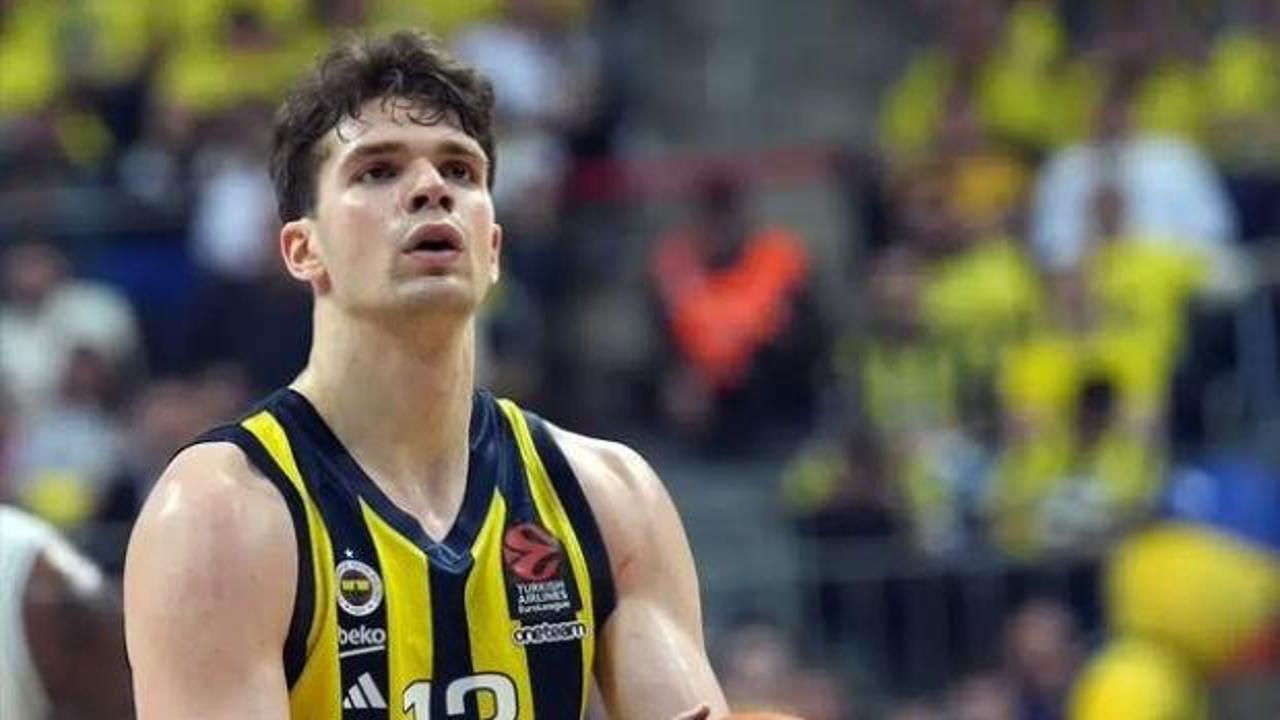 Fenerbahçe basketbolcusu Tarık Biberoviç'in fotoğrafı