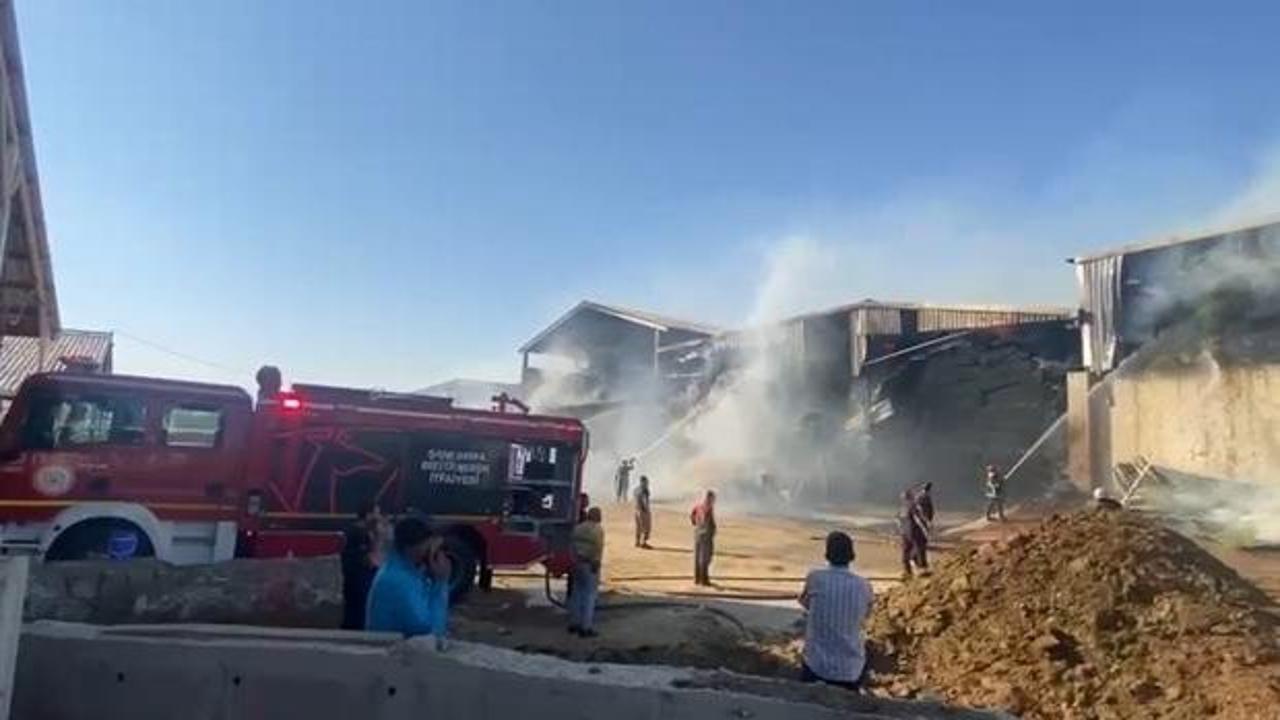 Şanlıurfa'da bir besi çiftliğinde çıkan yangında saman balyalarının alev aldığı anı gösteren bir görsel.