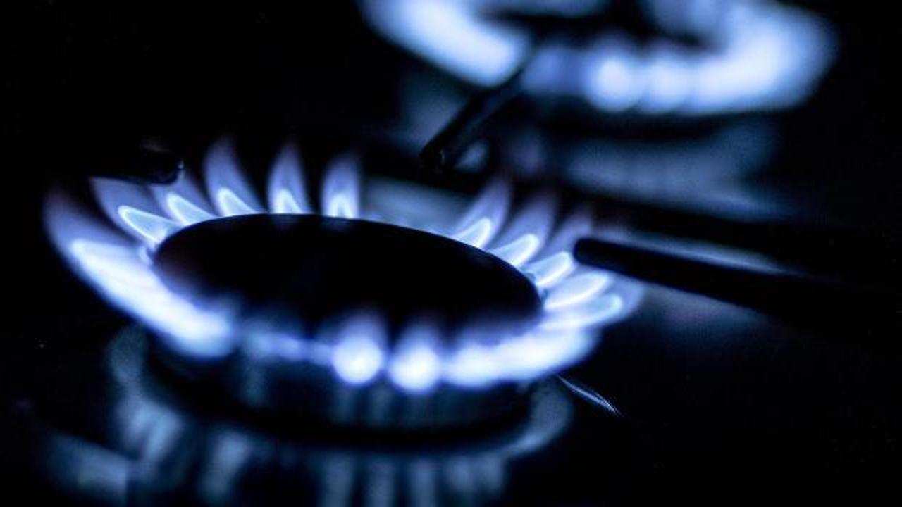 Spot doğal gaz piyasasında işlem hacmi ve fiyatları gösteren grafik