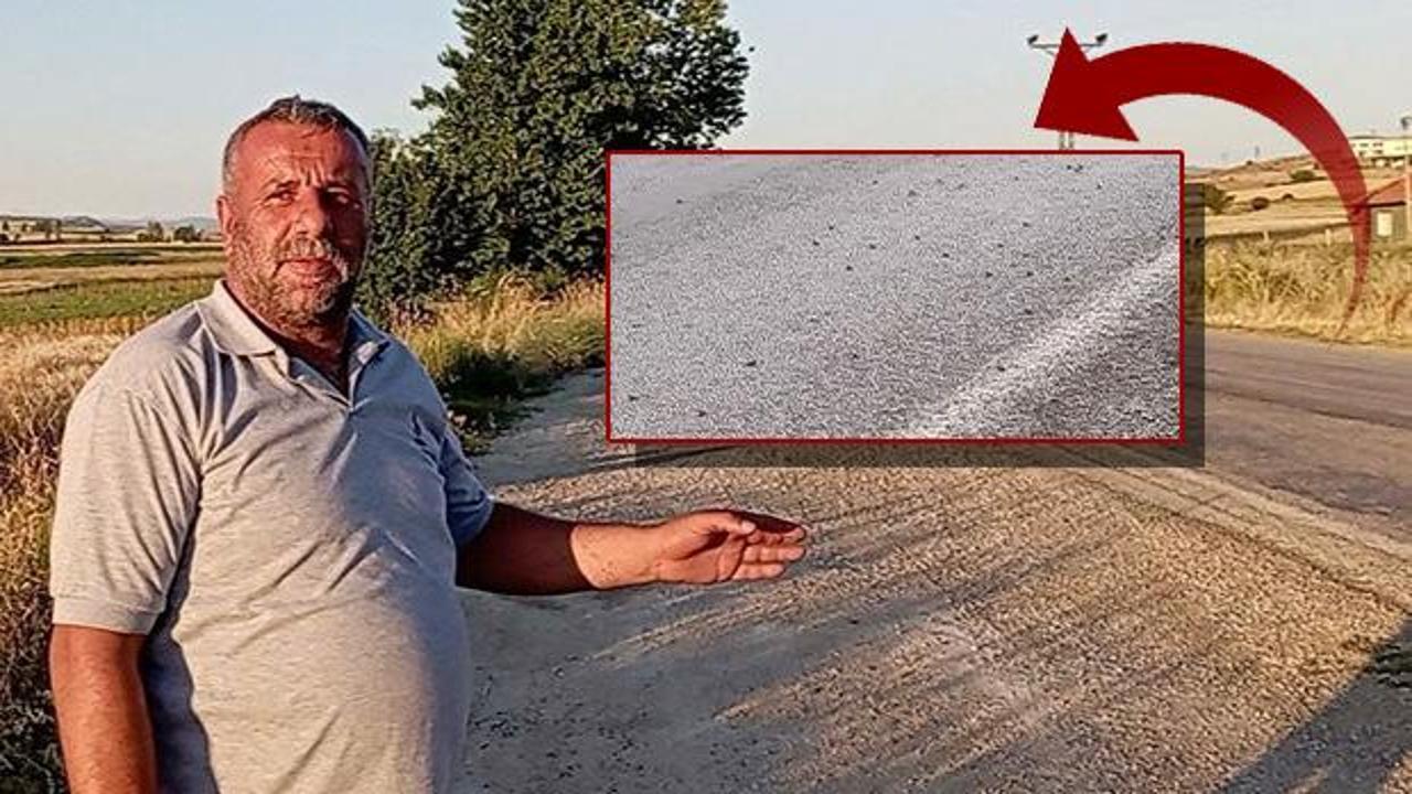 Tokat'ta şaşırtan manzara: Binlercesi kara yolunu bastı! S&uuml;r&uuml;c&uuml;ler g&ouml;zlerine inanamadı