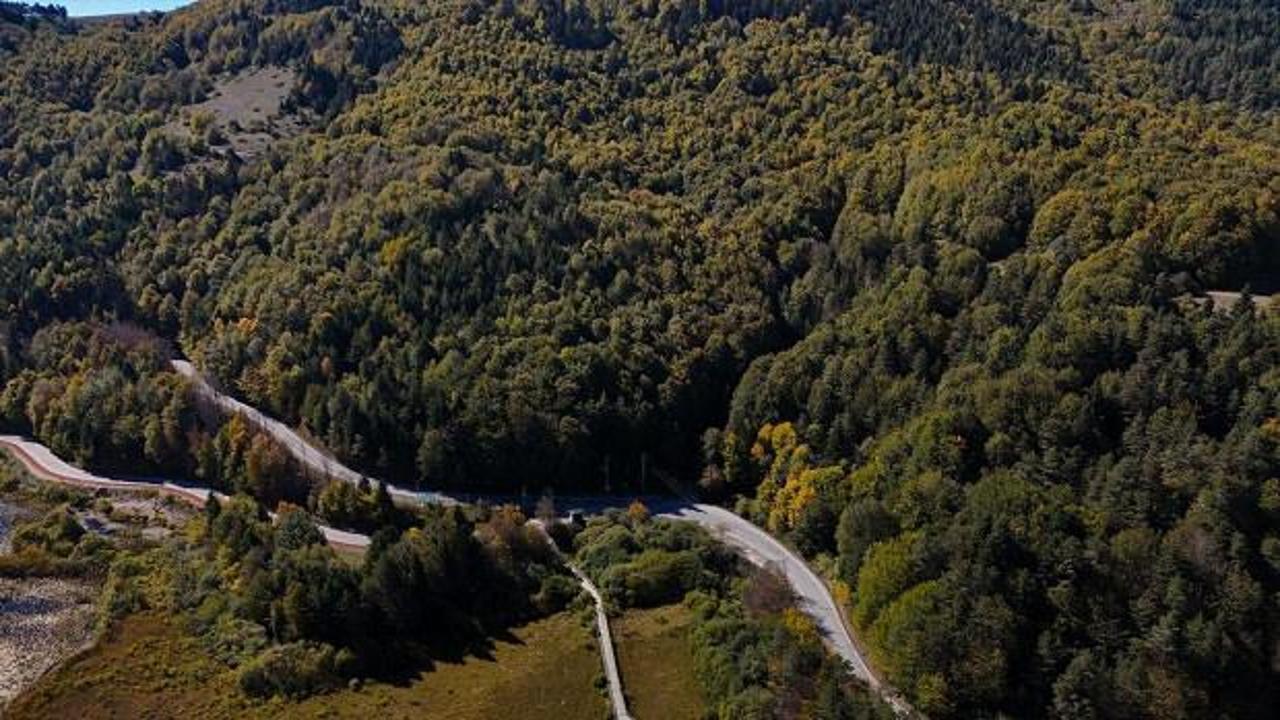 Bolu'da ormanlık alanlara giriş yasağına dair uyarı tabelası.