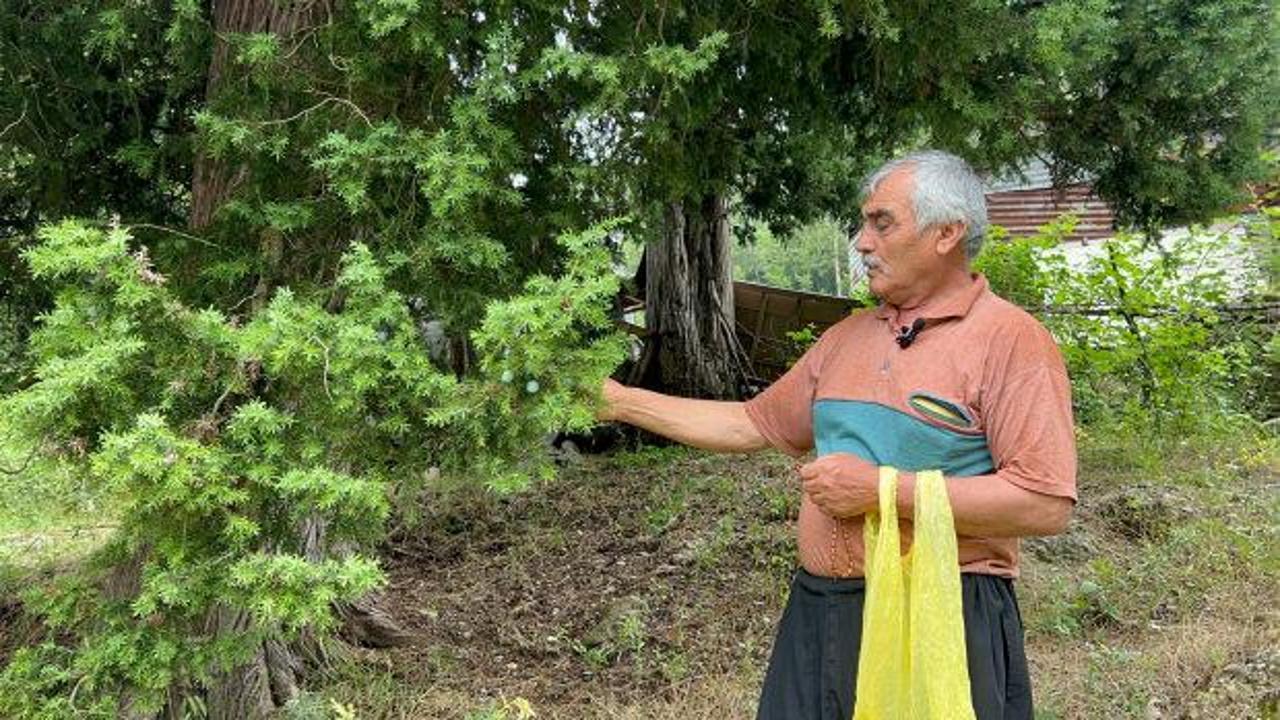 Andız ağacı çekirdeklerinden yapılmış tespih ve bileklikler