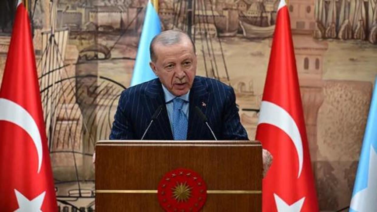 Cumhurbaşkanı Erdoğan ve Somali Cumhurbaşkanı Hasan Şeyh Mahmud görüşürken.