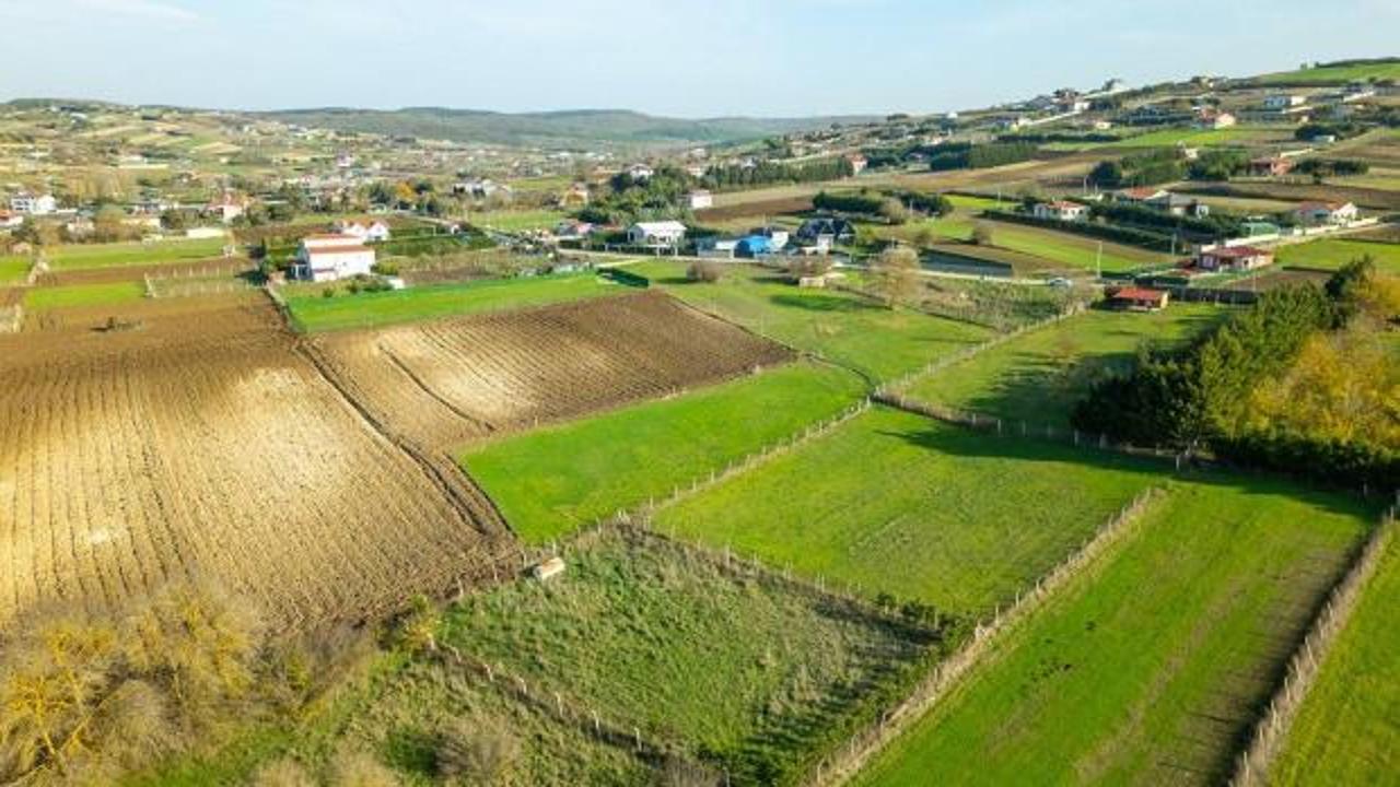 İstanbul'dan çevre illere yönelen arsa yatırımcıları grafiği
