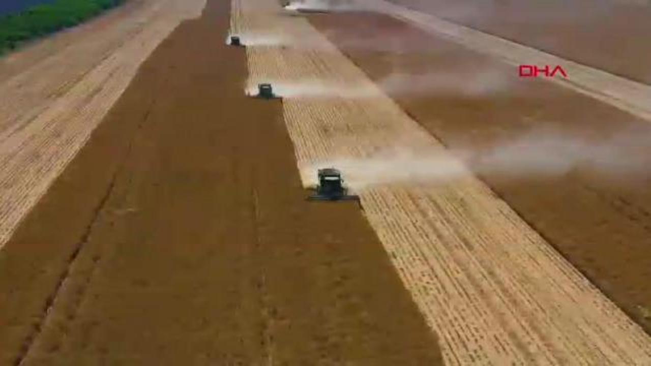Bayburt Kırklartepe Barajı Sulaması Projesi
