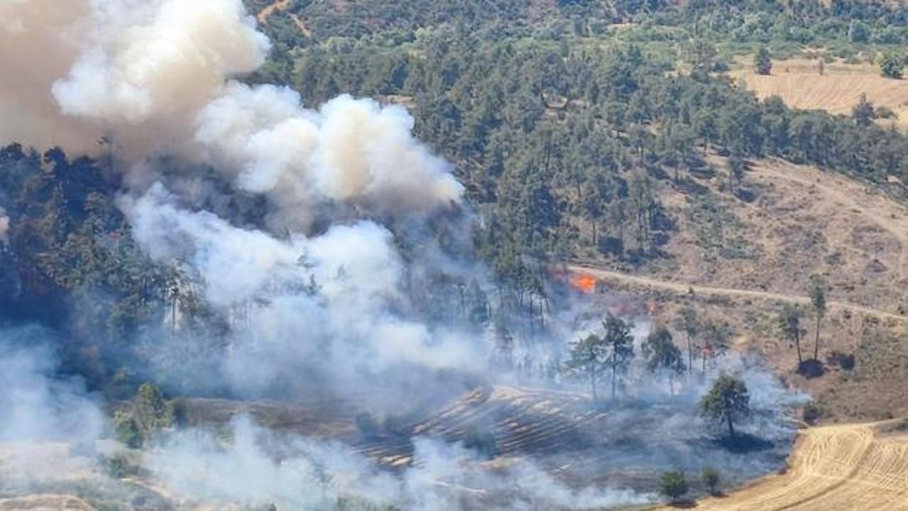Bursa'da ormanlık alanda yangın çıktı, dumanlar yükseliyor.