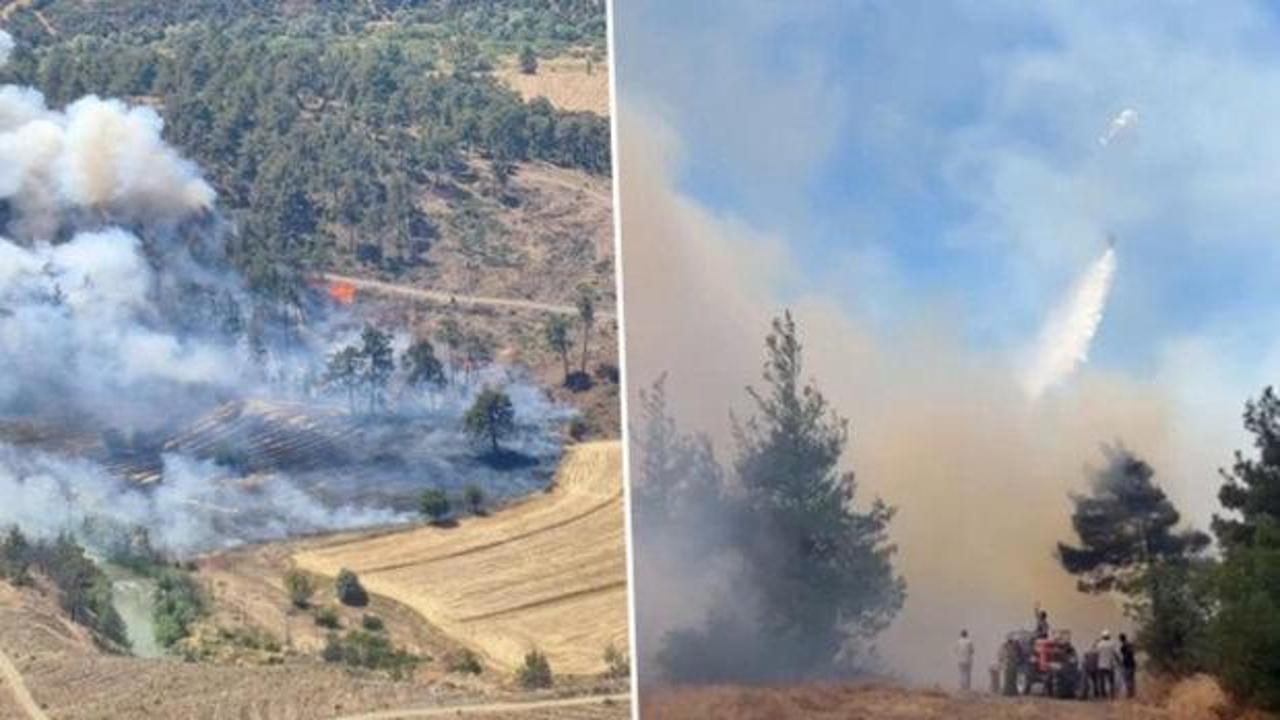 Bursa'nın Büyükorhan ilçesinde ormanlık alanda çıkan yangına müdahale eden ekipler.