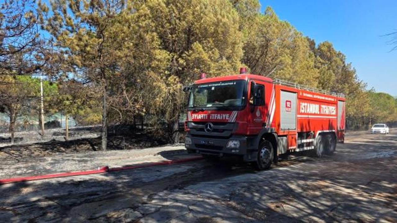 İstanbul'da yangın: Ormanlık alana sı&ccedil;radı!