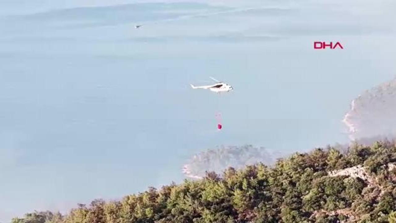 Muğla Milas'ta orman yangını söndürme çalışmaları