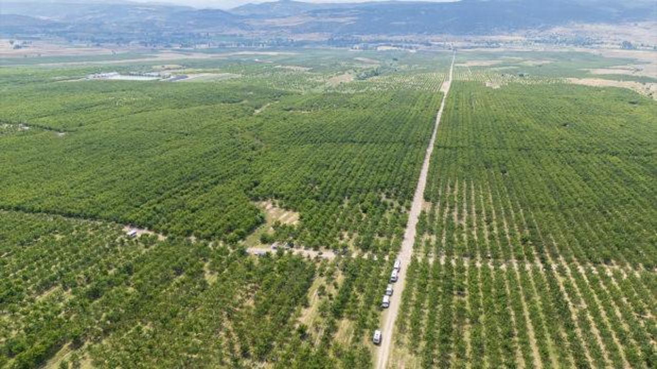 "Sınırları kaldıralım" dediler, servete kondular: Bir k&ouml;y&uuml;n kaderini değiştiren karar!