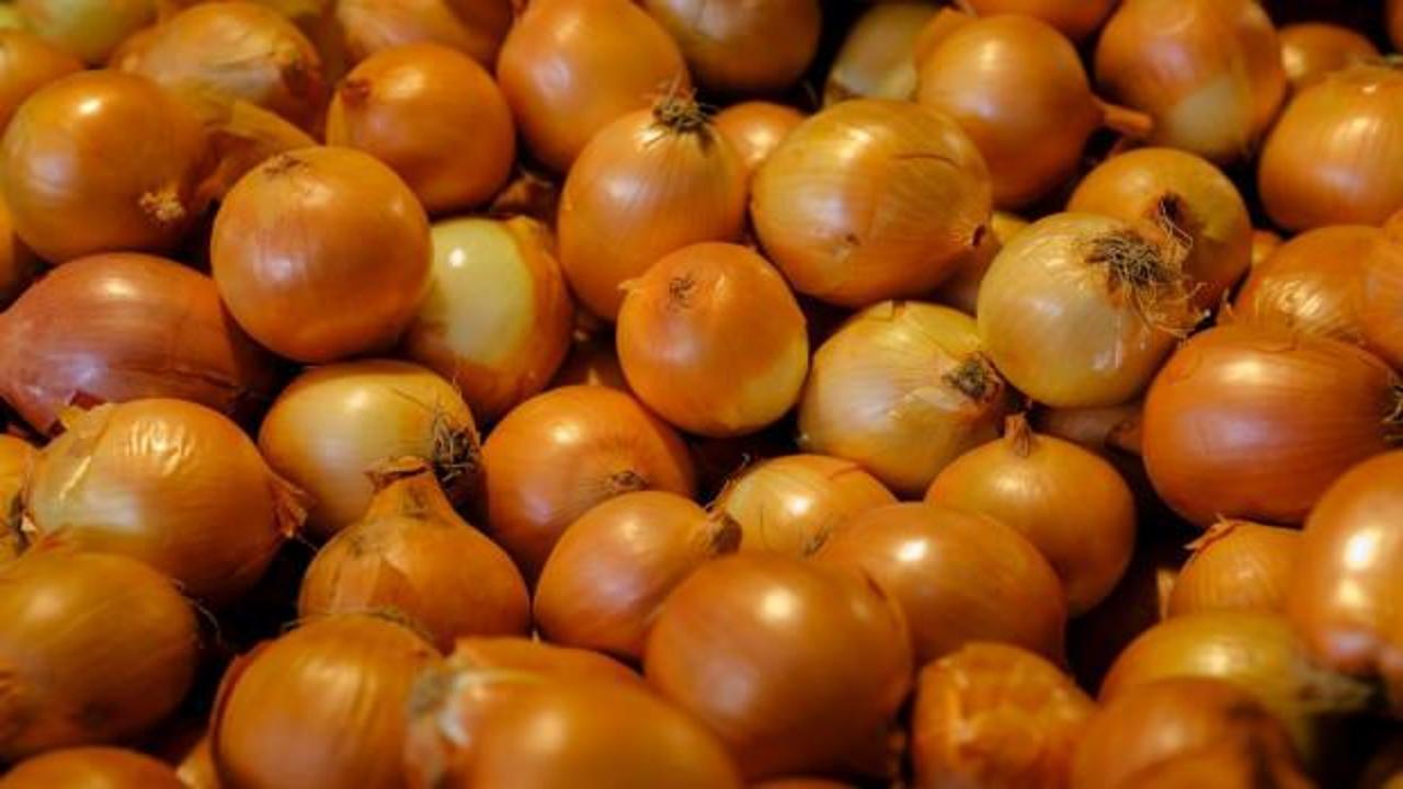 Market raflarında sergilenen ve fiyat etiketi üzerinde 50 TL yazan kuru soğan.