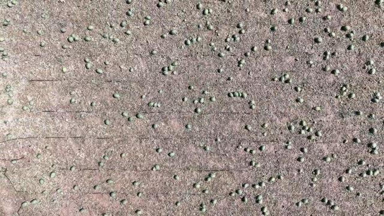 Tekirdağ'ı "s&uuml;per h&uuml;cre" vurdu! 35 bin dekarlık ekili alan zarar g&ouml;rd&uuml;