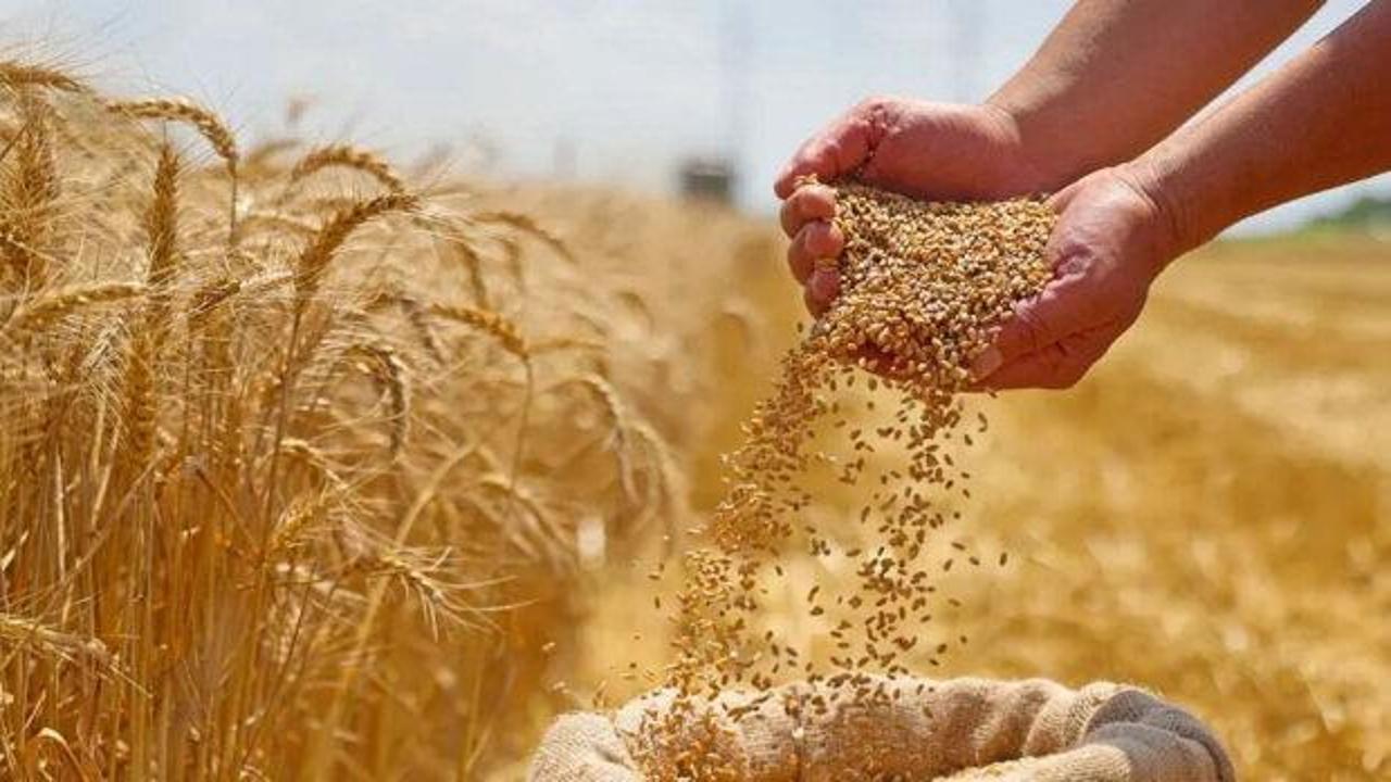 Toprak Mahsulleri Ofisi (TMO) tarafından yapılan hububat alımlarına ilişkin TMO'nun sosyal medya paylaşımı.