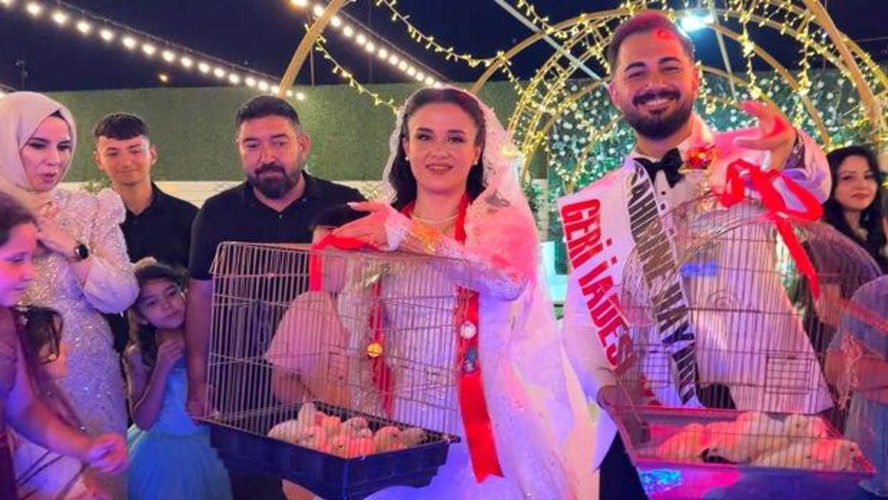 Kahramanmaraş'ta bir kebap ustası, çırağının düğününde altın yerine 100 civciv hediye ediyor.