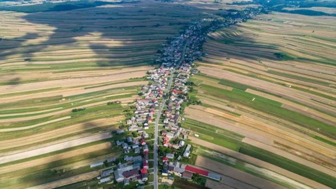 Polonya'nın Suloszowa köyünde tek bir yol üzerinde uzanan evler ve tarım arazileri