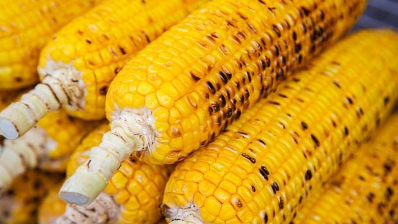 Airfryer'da mısır nasıl pişirilir? İşte tam kıvamında tarifi
