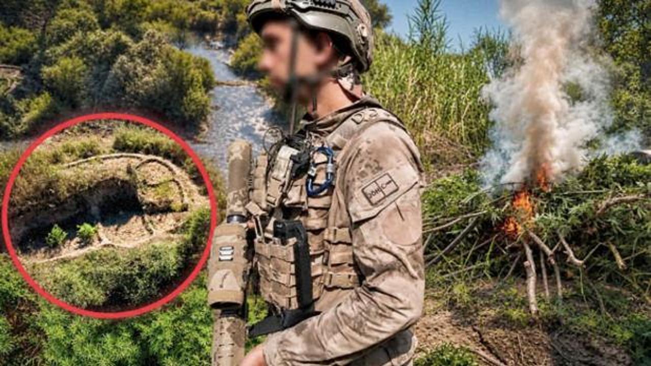 Diyarbakır'da ele geçirilen kenevir tarlalarına yönelik düzenlenen operasyondan bir görünüm.