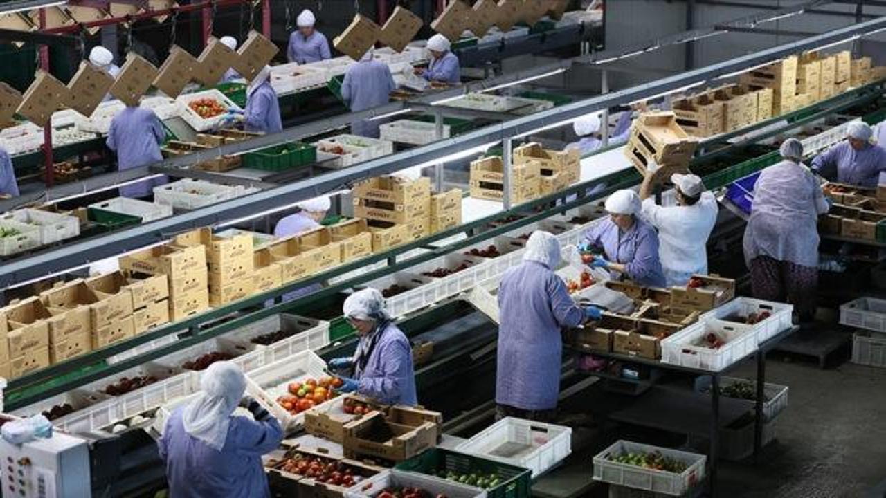 Ege yaş meyve sebze ihracatında hız kesmedi: 128 &uuml;lkeye dev satış!