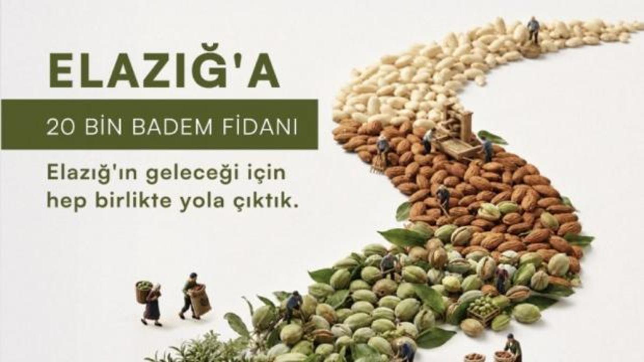 Elazığ'ın taşlık yama&ccedil;ları bademle yeşerecek: &Ccedil;EKUD'dan 20 bin fidanlık seferberlik