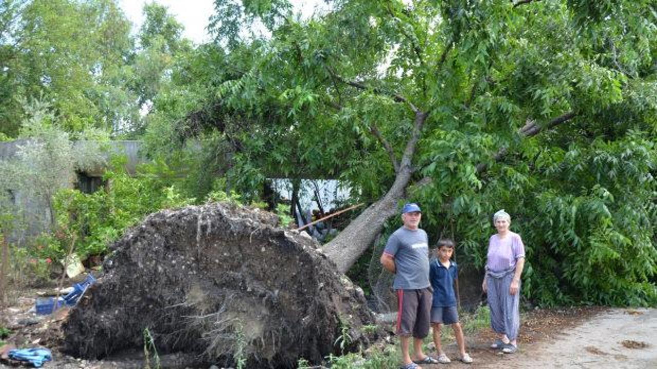 Hortum dakikalar içinde yıktı geçti: Antalya'da ağır bilanço!
