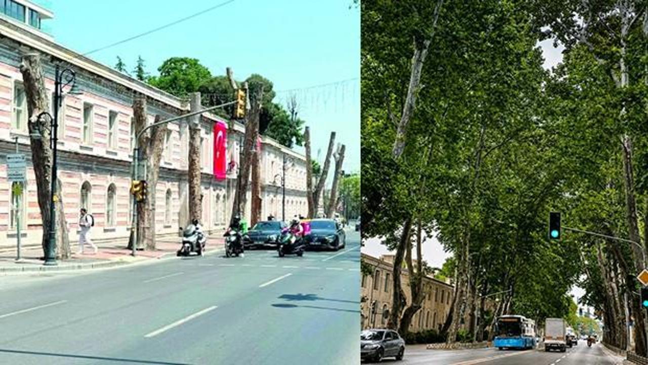 İstanbul'un simgesinde g&ouml;z g&ouml;re g&ouml;re gelen felaket! İBB'nin hatası asırlık mirası &ccedil;&uuml;r&uuml;tt&uuml;!