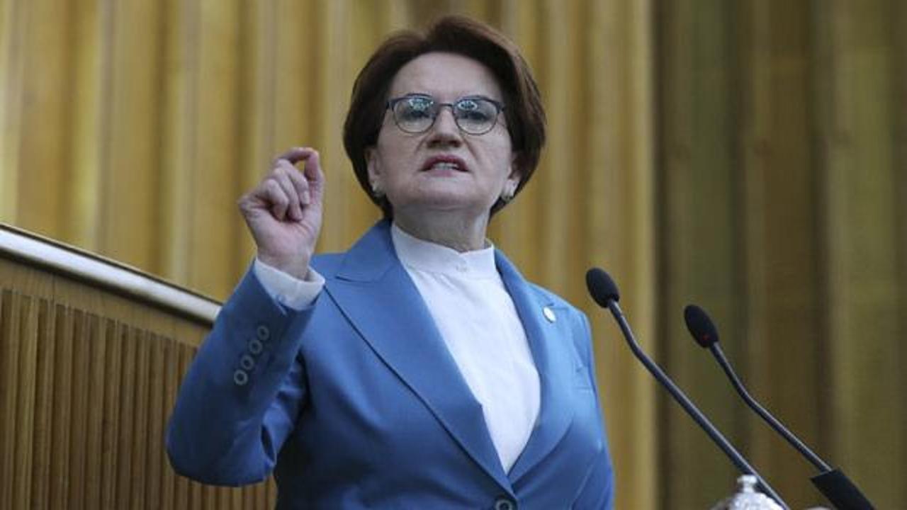 Meral Akşener'in vakıf kurduğu haberiyle ilgili görsel.