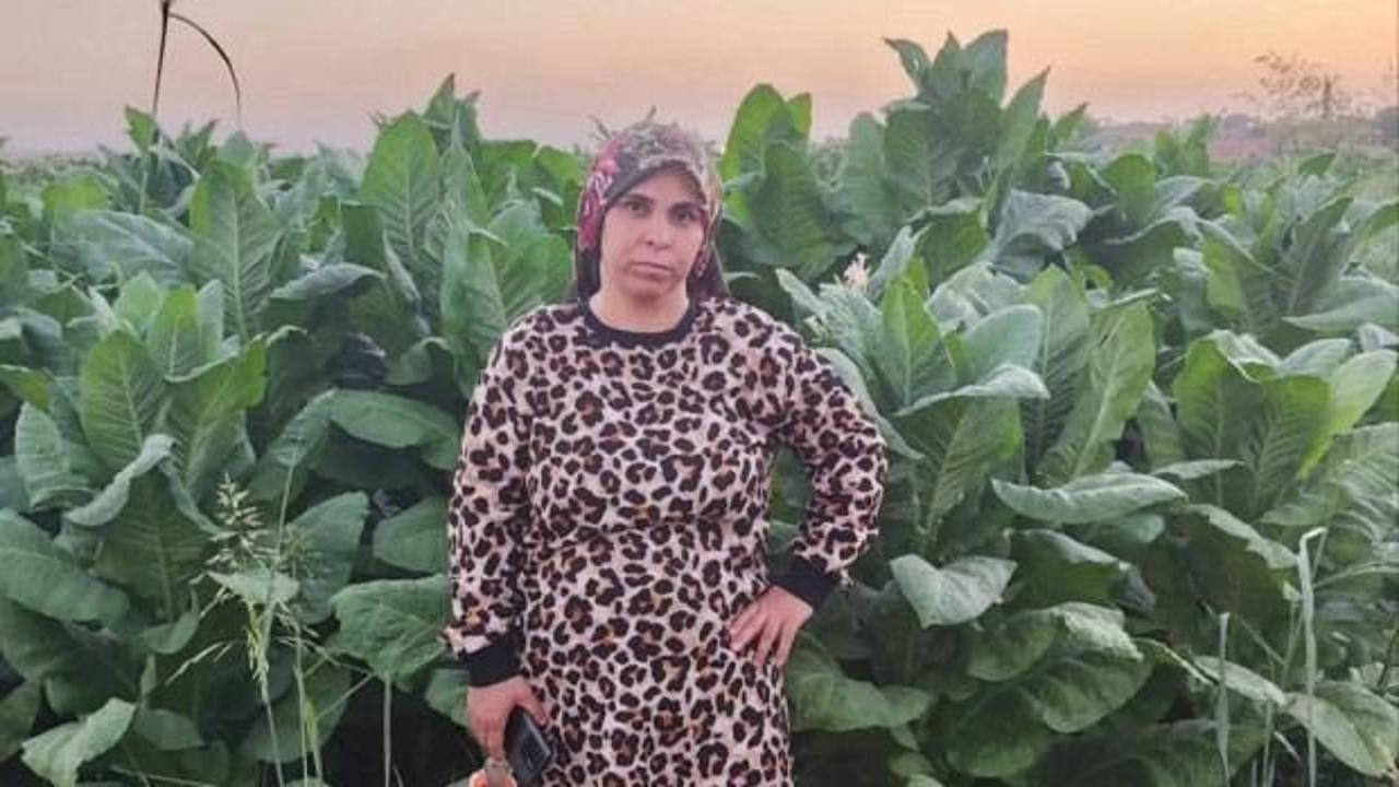 Diyarbakır'da tarlada fenalaşan bir kadının hastaneye kaldırılmasını gösteren temsili fotoğraf.
